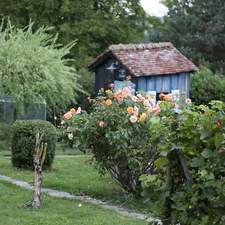 Vakantiehuis Le Pilon *